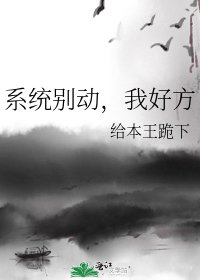 《系统别动,我好方》
