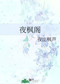 《夜枫阁》