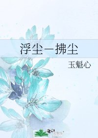 《浮尘-拂尘》