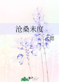 《沧桑未度》