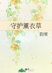 《守护薰衣草》