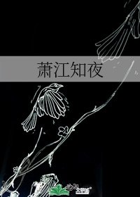 《萧江知夜》