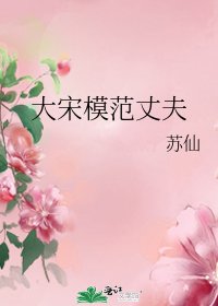 《大宋模范丈夫》