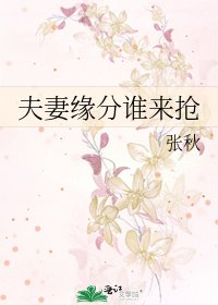 《夫妻缘分谁来抢》