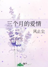 三个月的爱情
