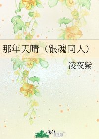 《那年天晴(银魂同人)》