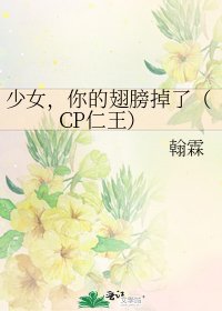 《少女,你的翅膀掉了(CP仁王)》