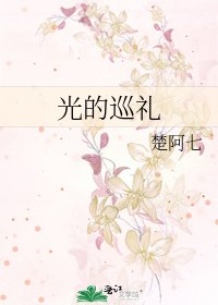 《光的巡禮》