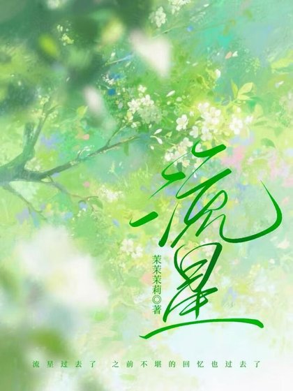 《流星》