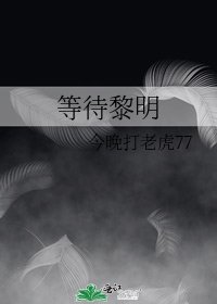 《等待黎明》
