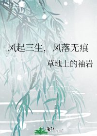 《风起三生,风落无痕》