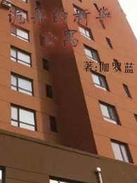 《诡异的新华公寓》