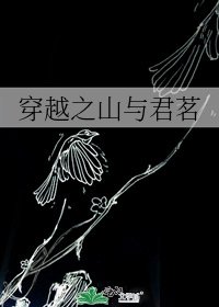 《穿越之山与君茗》