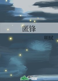 《匿锋》