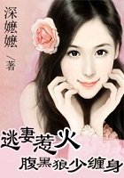 《逃妻惹火:腹黑狼少缠身》